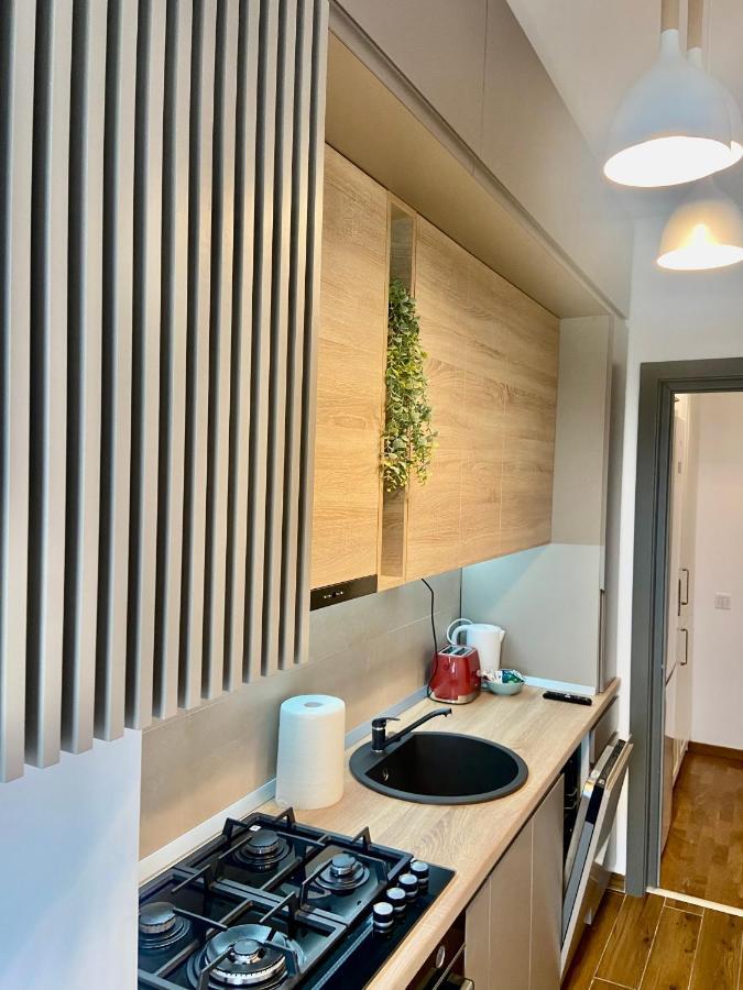 Lazar Loft Lägenhet Iasi Exteriör bild