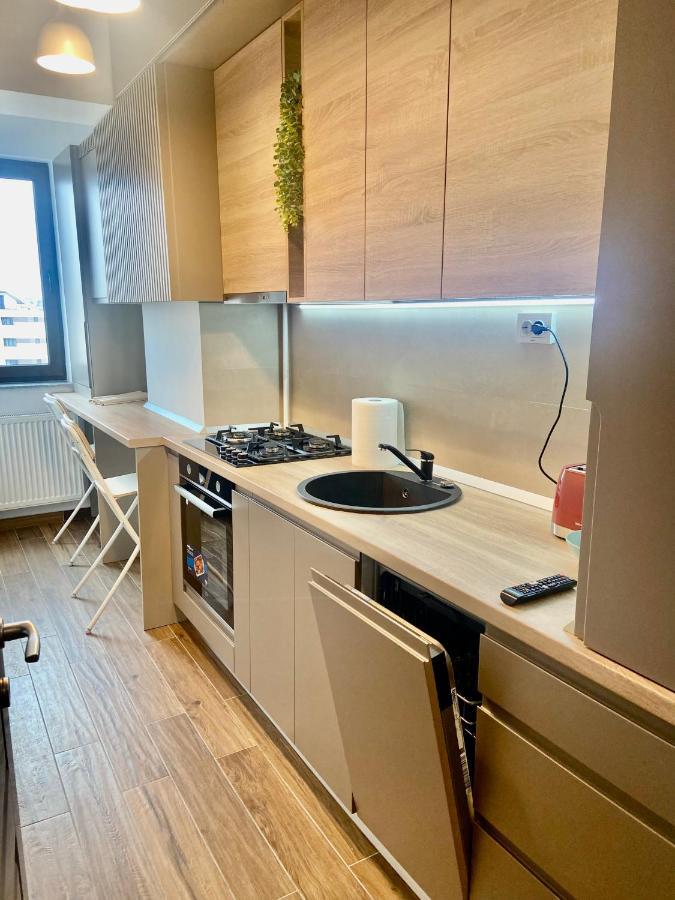 Lazar Loft Lägenhet Iasi Exteriör bild
