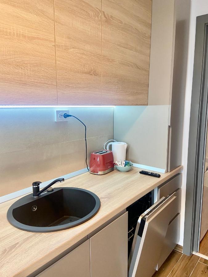 Lazar Loft Lägenhet Iasi Exteriör bild