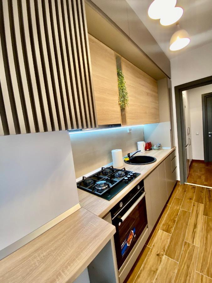 Lazar Loft Lägenhet Iasi Exteriör bild